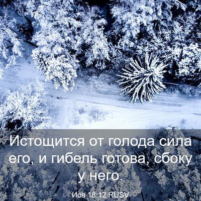 Picture 03 - Иов 18:12 RUSV - Истощится от голода сила - Bible Verse Picture