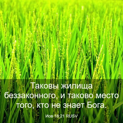 Picture 03 - Иов 18:21 RUSV - Таковы жилища - Bible Verse Picture