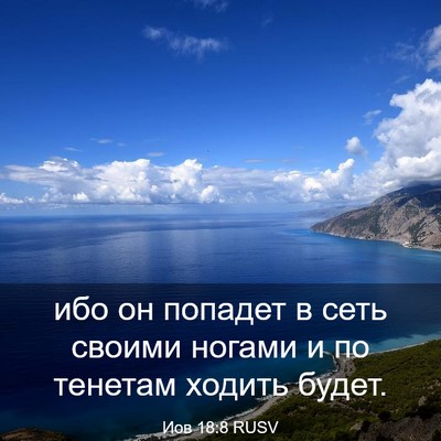Picture 03 - Иов 18:8 RUSV - ибо он попадет в сеть - Bible Verse Picture