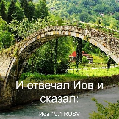 Picture 03 - Иов 19:1 RUSV - И отвечал Иов и - Bible Verse Picture