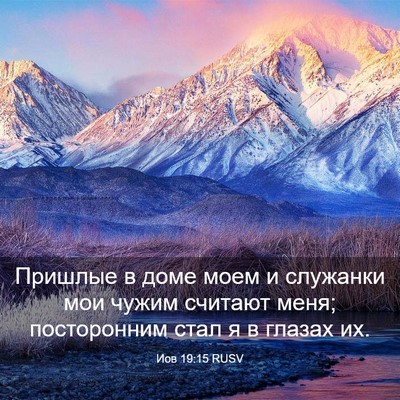 Picture 03 - Иов 19:15 RUSV - Пришлые в доме моем и - Bible Verse Picture
