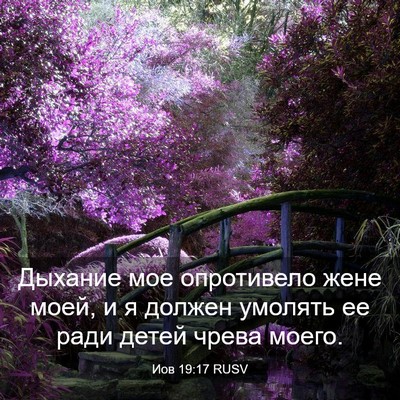 Picture 03 - Иов 19:17 RUSV - Дыхание мое опротивело - Bible Verse Picture
