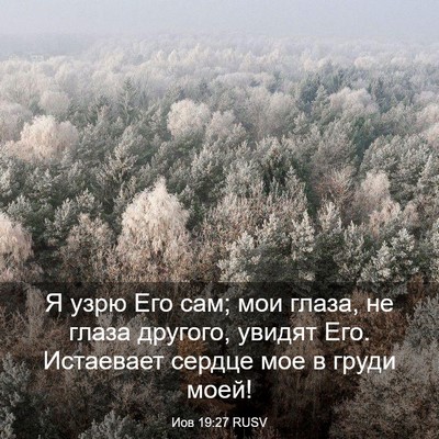 Picture 03 - Иов 19:27 RUSV - Я узрю Его сам; мои глаза, - Bible Verse Picture