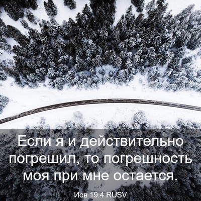Picture 03 - Иов 19:4 RUSV - Если я и действительно - Bible Verse Picture