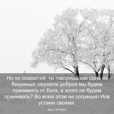 Picture 03 - Иов 2:10 RUSV - Но он сказал ей: ты - Bible Verse Picture