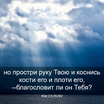 Picture 03 - Иов 2:5 RUSV - но простри руку Твою и - Bible Verse Picture