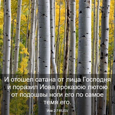 Picture 03 - Иов 2:7 RUSV - И отошел сатана от лица - Bible Verse Picture