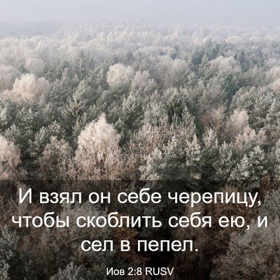 Picture 03 - Иов 2:8 RUSV - И взял он себе черепицу, - Bible Verse Picture