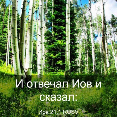 Picture 03 - Иов 21:1 RUSV - И отвечал Иов и - Bible Verse Picture