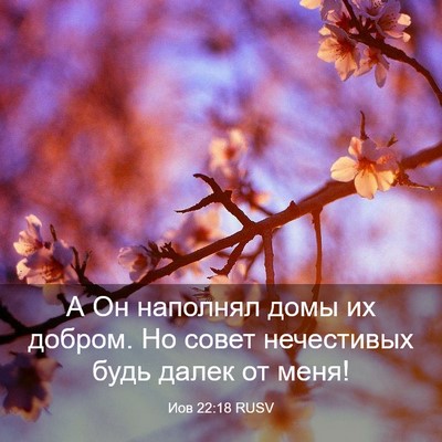 Picture 03 - Иов 22:18 RUSV - А Он наполнял домы их - Bible Verse Picture