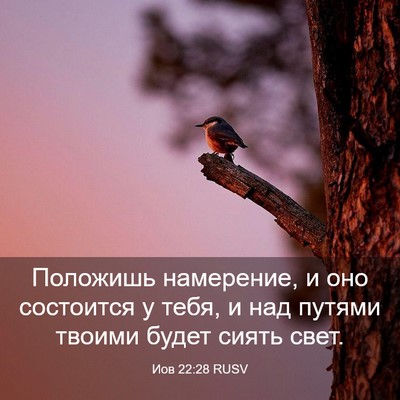 Picture 03 - Иов 22:28 RUSV - Положишь намерение, и оно - Bible Verse Picture