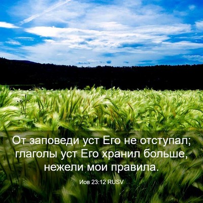 Picture 03 - Иов 23:12 RUSV - От заповеди уст Его не - Bible Verse Picture