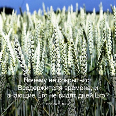 Picture 03 - Иов 24:1 RUSV - Почему не сокрыты от - Bible Verse Picture