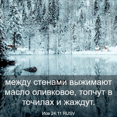 Picture 03 - Иов 24:11 RUSV - между стенами выжимают - Bible Verse Picture