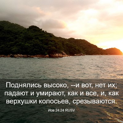 Picture 03 - Иов 24:24 RUSV - Поднялись высоко, --и вот, - Bible Verse Picture