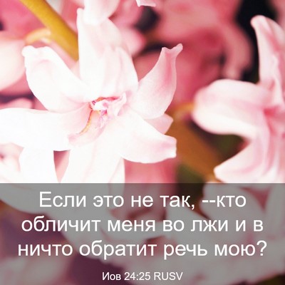 Picture 03 - Иов 24:25 RUSV - Если это не так, --кто - Bible Verse Picture