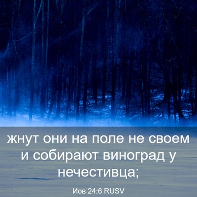 Picture 03 - Иов 24:6 RUSV - жнут они на поле не своем и - Bible Verse Picture