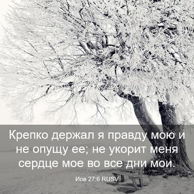 Picture 03 - Иов 27:6 RUSV - Крепко держал я правду мою - Bible Verse Picture