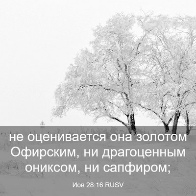Picture 03 - Иов 28:16 RUSV - не оценивается она золотом - Bible Verse Picture