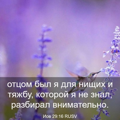Picture 03 - Иов 29:16 RUSV - отцом был я для нищих и - Bible Verse Picture