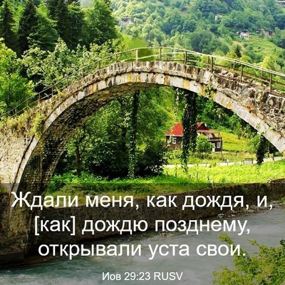 Picture 03 - Иов 29:23 RUSV - Ждали меня, как дождя, и, - Bible Verse Picture