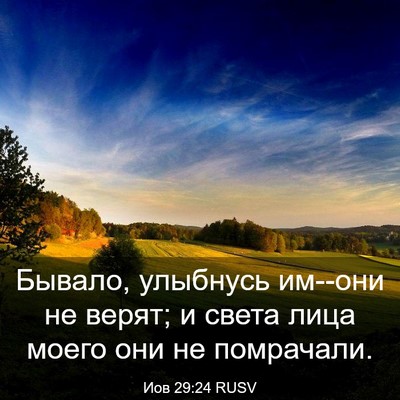 Picture 03 - Иов 29:24 RUSV - Бывало, улыбнусь им--они не - Bible Verse Picture