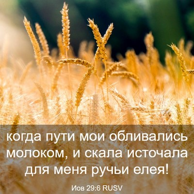 Picture 03 - Иов 29:6 RUSV - когда пути мои обливались - Bible Verse Picture