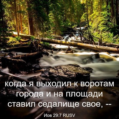 Picture 03 - Иов 29:7 RUSV - когда я выходил к воротам - Bible Verse Picture