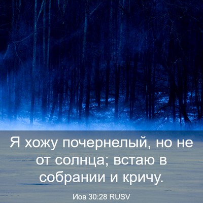 Picture 03 - Иов 30:28 RUSV - Я хожу почернелый, но не от - Bible Verse Picture