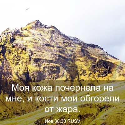 Picture 03 - Иов 30:30 RUSV - Моя кожа почернела на мне, - Bible Verse Picture