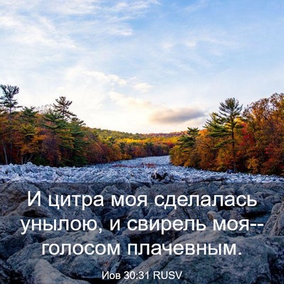 Picture 03 - Иов 30:31 RUSV - И цитра моя сделалась - Bible Verse Picture
