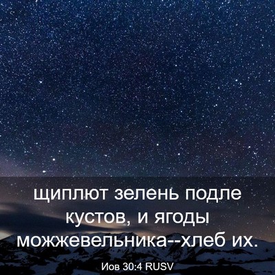 Picture 03 - Иов 30:4 RUSV - щиплют зелень подле - Bible Verse Picture