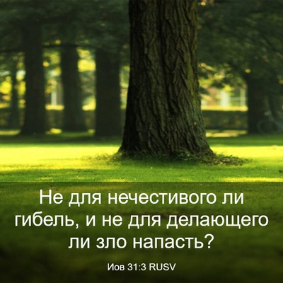 Picture 03 - Иов 31:3 RUSV - Не для нечестивого ли - Bible Verse Picture