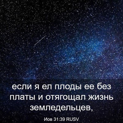Picture 03 - Иов 31:39 RUSV - если я ел плоды ее без - Bible Verse Picture