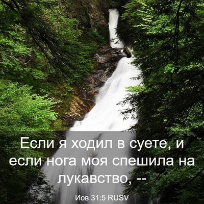 Picture 03 - Иов 31:5 RUSV - Если я ходил в суете, и если - Bible Verse Picture