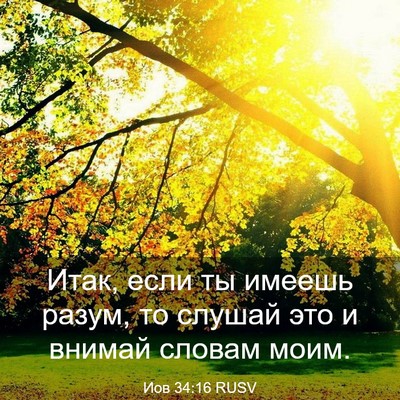 Picture 03 - Иов 34:16 RUSV - Итак, если ты имеешь разум, - Bible Verse Picture