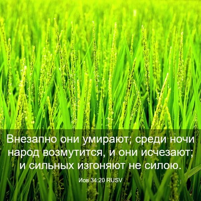 Picture 03 - Иов 34:20 RUSV - Внезапно они умирают; - Bible Verse Picture