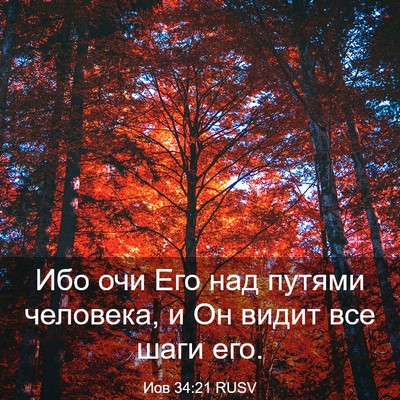 Picture 03 - Иов 34:21 RUSV - Ибо очи Его над путями - Bible Verse Picture