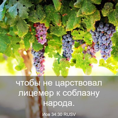 Picture 03 - Иов 34:30 RUSV - чтобы не царствовал - Bible Verse Picture