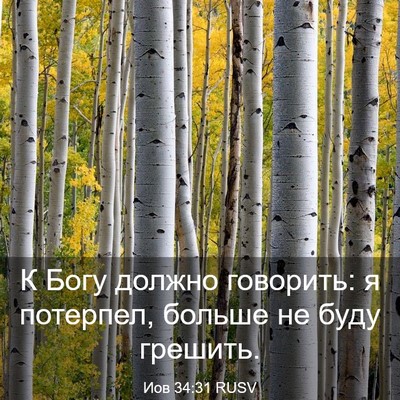Picture 03 - Иов 34:31 RUSV - К Богу должно говорить: я - Bible Verse Picture
