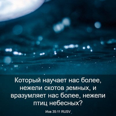 Picture 03 - Иов 35:11 RUSV - Который научает нас более, - Bible Verse Picture