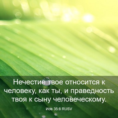 Picture 03 - Иов 35:8 RUSV - Нечестие твое относится к - Bible Verse Picture
