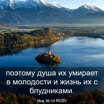 Picture 03 - Иов 36:14 RUSV - поэтому душа их умирает в - Bible Verse Picture
