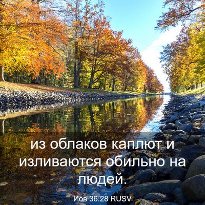 Picture 03 - Иов 36:28 RUSV - из облаков каплют и - Bible Verse Picture