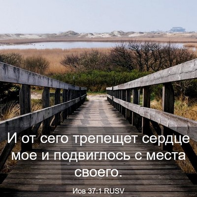 Picture 03 - Иов 37:1 RUSV - И от сего трепещет сердце - Bible Verse Picture
