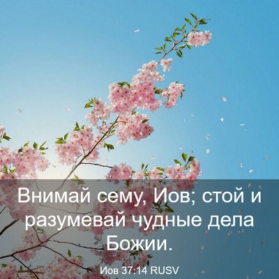 Picture 03 - Иов 37:14 RUSV - Внимай сему, Иов; стой и - Bible Verse Picture