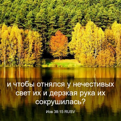 Picture 03 - Иов 38:15 RUSV - и чтобы отнялся у - Bible Verse Picture