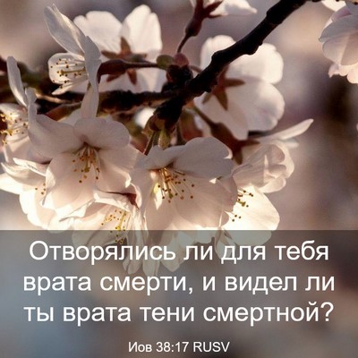 Picture 03 - Иов 38:17 RUSV - Отворялись ли для тебя - Bible Verse Picture