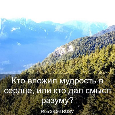 Picture 03 - Иов 38:36 RUSV - Кто вложил мудрость в - Bible Verse Picture