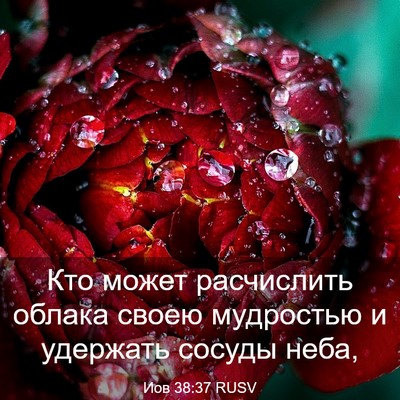 Picture 03 - Иов 38:37 RUSV - Кто может расчислить - Bible Verse Picture